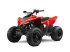 ATV & Quad van het type Sonstige Gepard Quads, Neumaschine in Doetinchem (Foto 8)