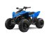 ATV & Quad van het type Sonstige Gepard Quads, Neumaschine in Doetinchem (Foto 7)