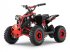 ATV & Quad типа Sonstige Gepard Quads, Neumaschine в Budel (Фотография 10)