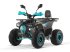 ATV & Quad типа Sonstige Gepard Quads, Neumaschine в beesd (Фотография 5)