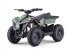 ATV & Quad типа Sonstige Gepard Quads, Neumaschine в beesd (Фотография 8)