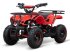 ATV & Quad типа Sonstige Gepard Quads, Neumaschine в beesd (Фотография 2)