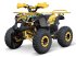 ATV & Quad типа Sonstige Gepard Quads, Neumaschine в beesd (Фотография 4)