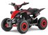 ATV & Quad типа Sonstige Gepard Quads, Neumaschine в beesd (Фотография 5)