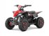 ATV & Quad типа Sonstige Gepard Quads, Neumaschine в beesd (Фотография 11)