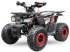 ATV & Quad Türe ait Sonstige Gepard Quads, Neumaschine içinde Drachten (resim 8)