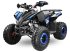 ATV & Quad Türe ait Sonstige Gepard Quads, Neumaschine içinde Drachten (resim 9)