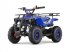 ATV & Quad tipa Sonstige Gepard Quads, Neumaschine u Drachten (Slika 1)