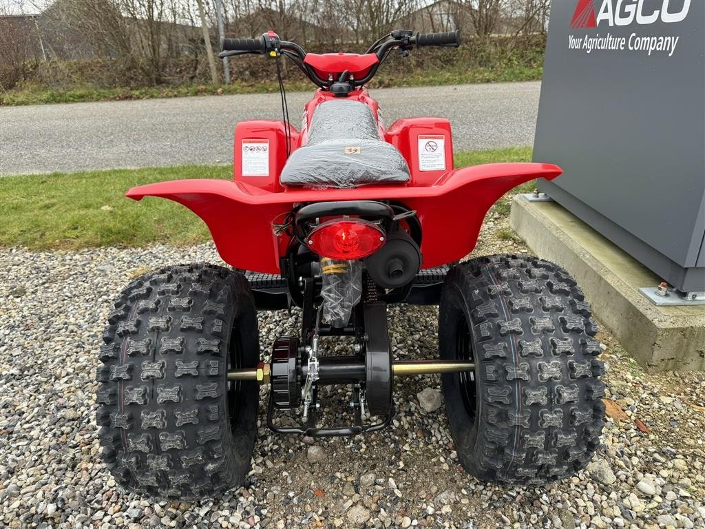 ATV & Quad типа Sonstige R100 Sport Off road, Gebrauchtmaschine в Hadsten (Фотография 4)