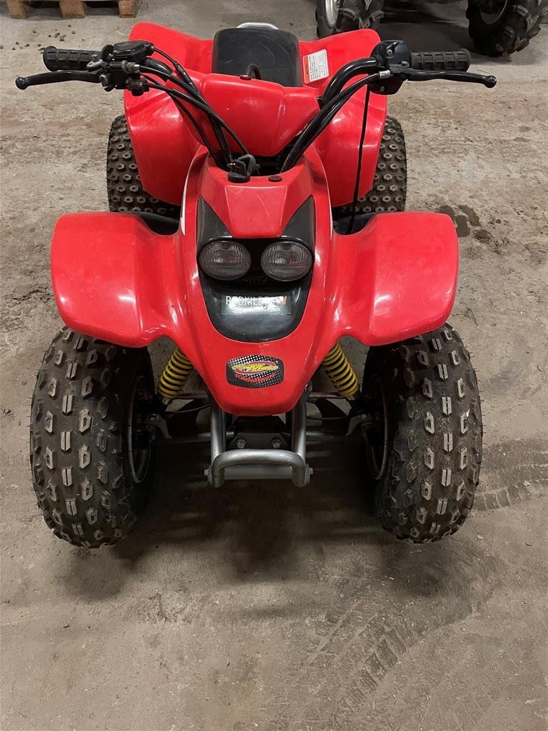 ATV & Quad tip Sonstige R100, Gebrauchtmaschine in Ferritslev Fyn (Poză 1)