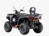 ATV & Quad del tipo Sonstige Segway Snarler AT6GL - Standaard T3b, Neumaschine In Geesteren (OV) (Immagine 6)