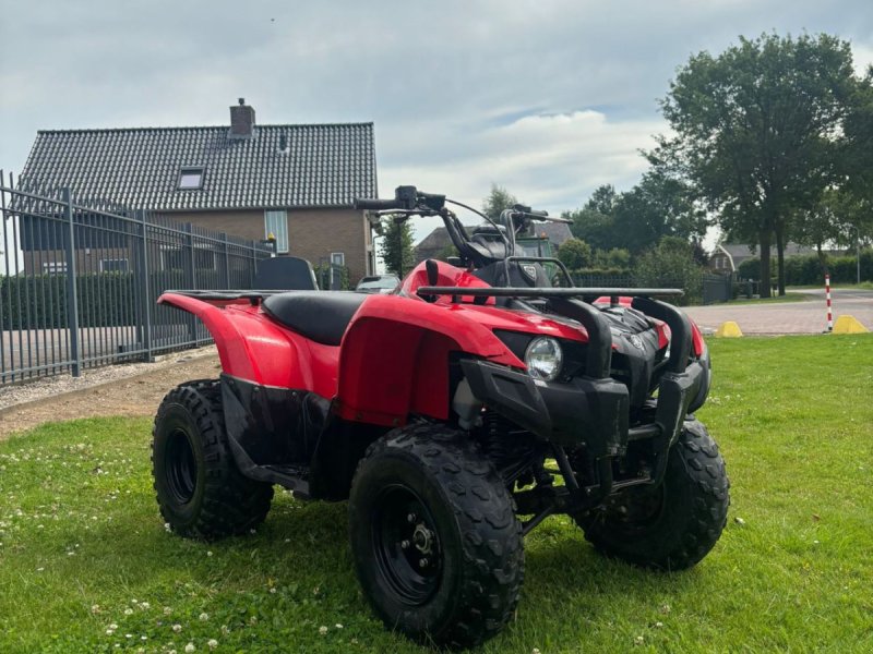 ATV & Quad tipa Sonstige Yahmaha 300, Gebrauchtmaschine u Wadenoijen (Slika 1)