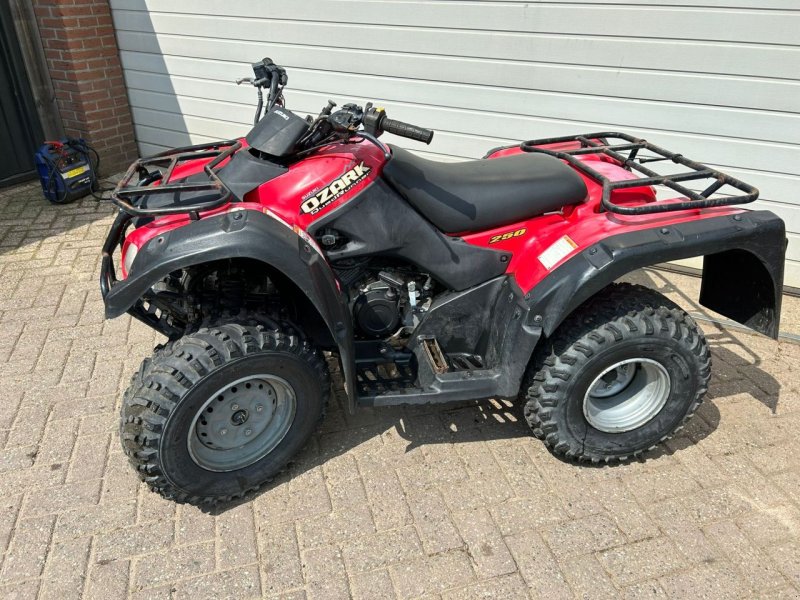 ATV & Quad typu Suzuki ozark 250, Gebrauchtmaschine v Putten