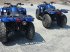 ATV & Quad del tipo Yamaha GRIZLLY 450 4X4 QUAD, Gebrauchtmaschine en Scharsterbrug (Imagen 4)