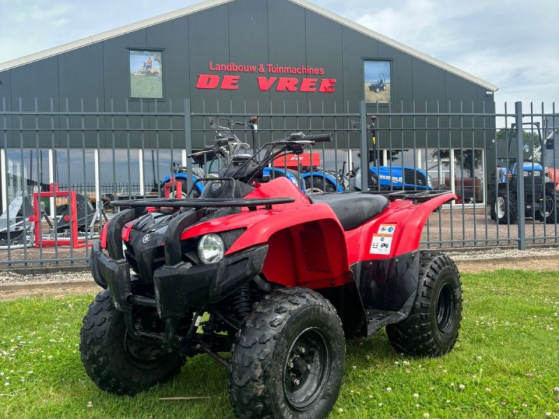 ATV & Quad of the type Yamaha Grizzly 300, Gebrauchtmaschine in Wadenoijen (Picture 1)