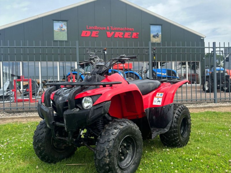 ATV & Quad tipa Yamaha Grizzly 300, Gebrauchtmaschine u Wadenoijen (Slika 1)