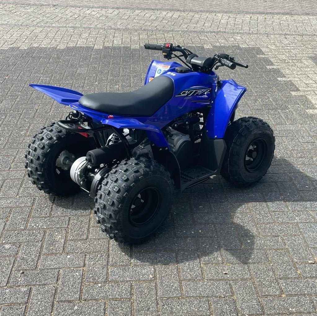 ATV & Quad del tipo Yamaha YFZ50, Neumaschine In IJsselmuiden (Immagine 7)