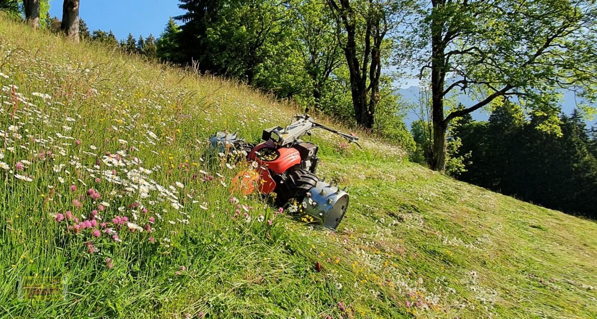 Balkenmäher van het type Aebi CC36 Ersatzmotor 1-Zylinder 14PS Art.: 1336091-7, Neumaschine in Kötschach (Foto 1)