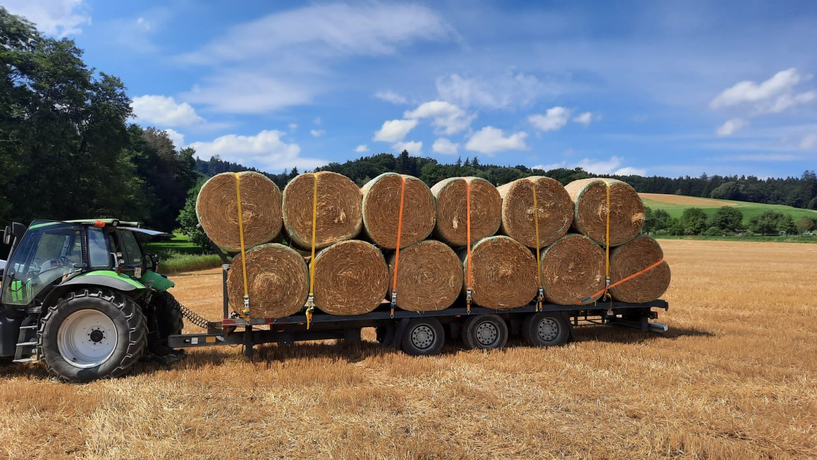 Ballentransportwagen del tipo Schmitz ------, Gebrauchtmaschine en st.georgen/y. (Imagen 11)