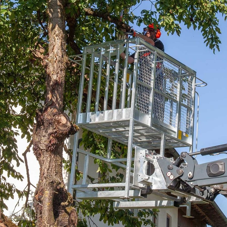 Ballenzange tipa Fliegl Arbeitskorb mit Erhöhung Euro und Palettengabel, Neumaschine u Burgkirchen (Slika 1)