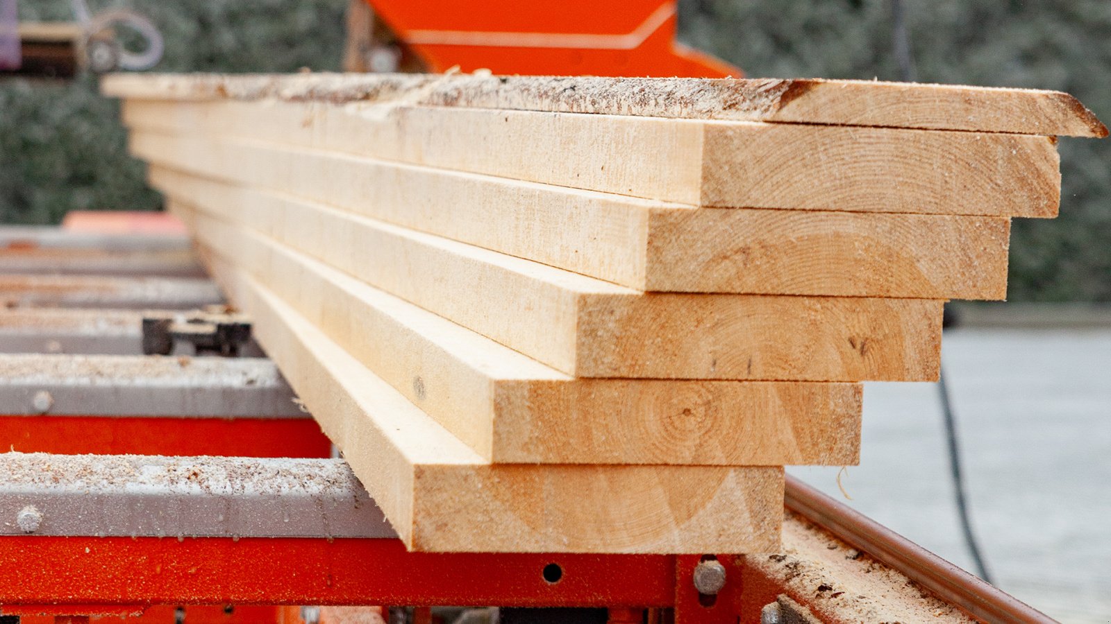 Bandsägewerk du type Wood-Mizer LT20START Sägewerk, Neumaschine en Schletau (Photo 7)