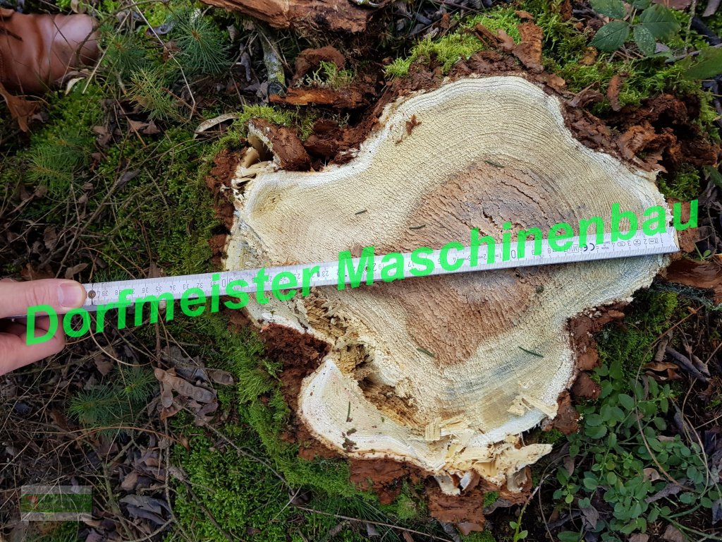 Baumschere van het type Dorfmeister ✂🌲 Fällgreifer Baumschere EHZ 320, Neumaschine in Roßbach (Foto 8)