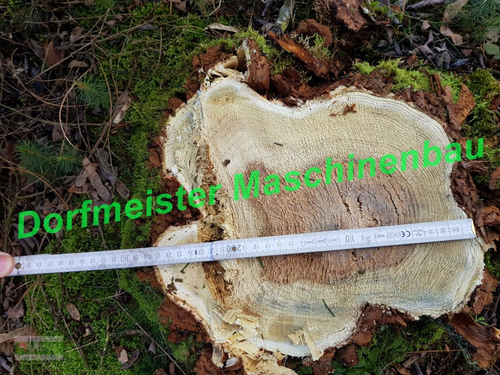 Baumschere typu Dorfmeister ✂🌲 Fällgreifer Baumschere EHZ 320, Neumaschine v Roßbach (Obrázek 9)