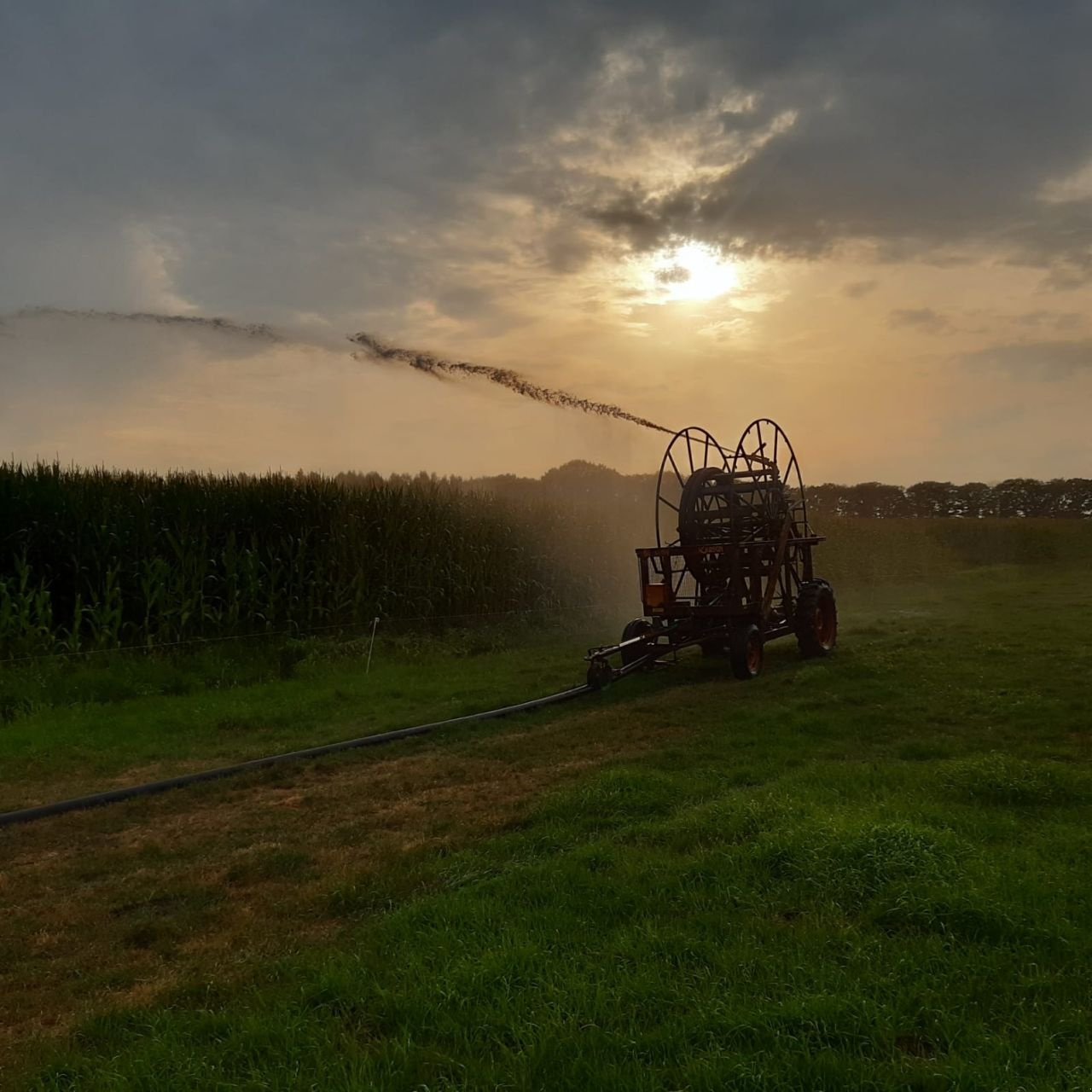 Beregnungsanlage typu Fasterholt tl, Gebrauchtmaschine v Dalfsen (Obrázek 5)