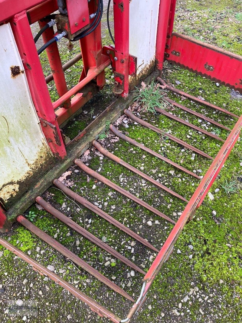 Blockschneider van het type Trioliet TU 170, Gebrauchtmaschine in Berne (Foto 4)