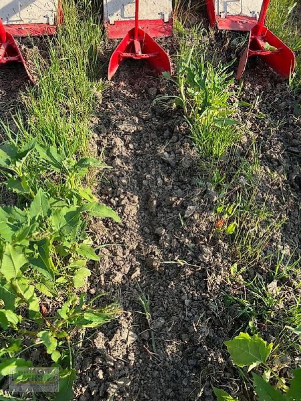 Bodenfräse tip Minos Agri R 5, Vorführmaschine in Unterschneidheim-Zöbingen (Poză 8)