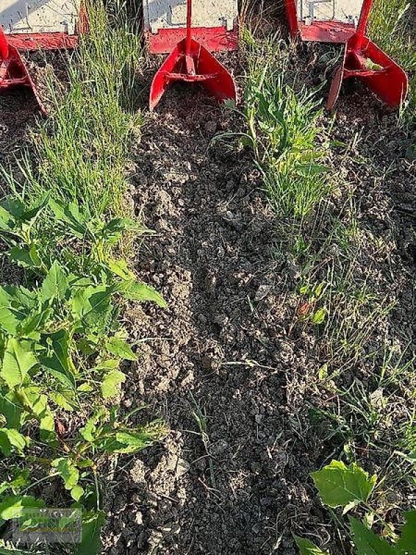 Bodenfräse tip Minos Agri R 5, Vorführmaschine in Unterschneidheim-Zöbingen (Poză 5)