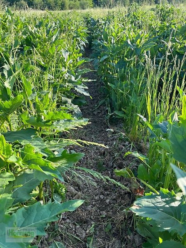 Bodenfräse van het type Minos Agri R 5, Vorführmaschine in Unterschneidheim-Zöbingen (Foto 11)