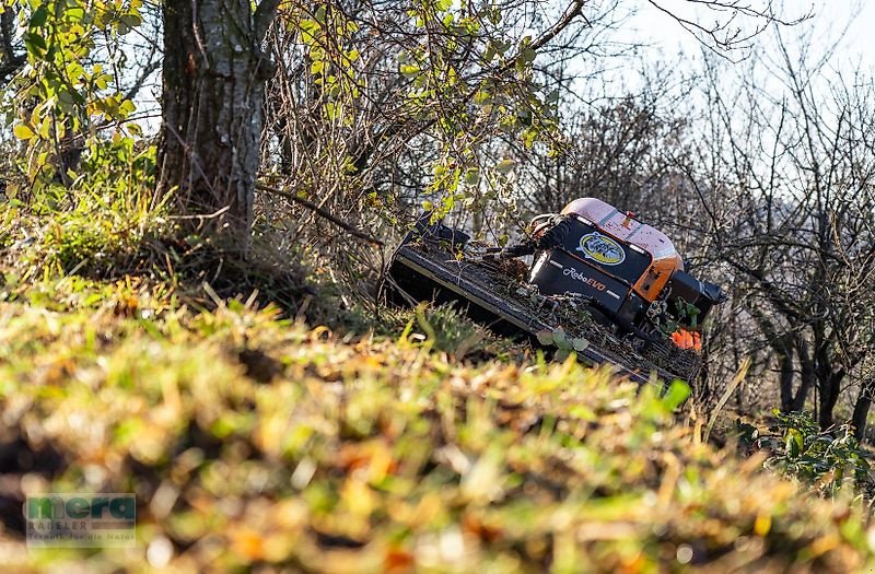 Böschungsmähgerät typu Energreen Robo Evo Vaario 40PS, Neumaschine v Stelle-Ashausen (Obrázok 7)