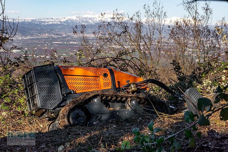 Böschungsmähgerät типа Energreen Robo Evo Vaario 40PS, Neumaschine в Stelle-Ashausen (Фотография 1)