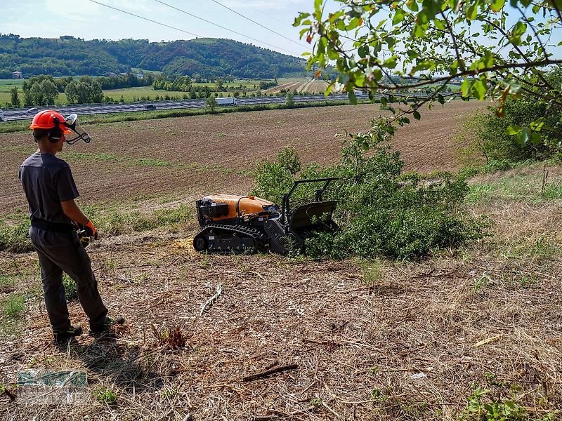 Böschungsmähgerät del tipo Energreen RoboFifti 50PS, Neumaschine en Stelle-Ashausen (Imagen 5)