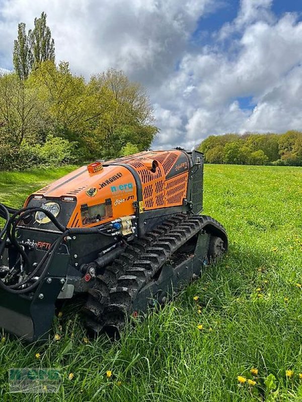 Böschungsmähgerät del tipo Energreen RoboFifti 50PS, Gebrauchtmaschine en Stelle-Ashausen (Imagen 7)