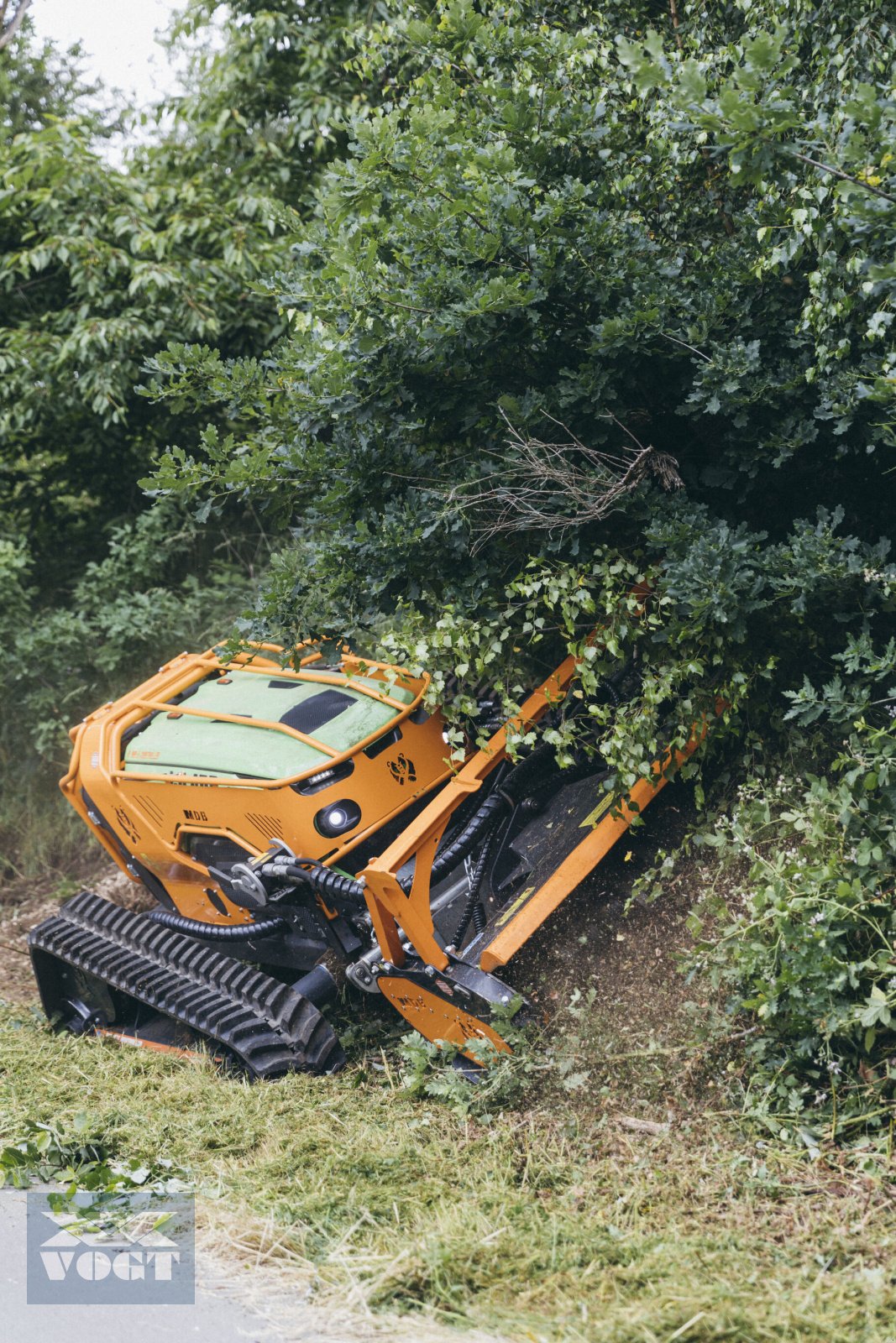 Böschungsmähgerät del tipo MDB LV800 PRO Mulchraupe /Forstraupe mit MDB Forstmulchkopf FM 150 PRO, Neumaschine In Schmallenberg (Immagine 5)