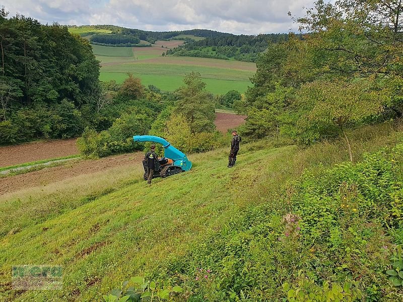 Böschungsmähgerät Türe ait mera Wurfschlegelmäher WSM-Robo, Neumaschine içinde Stelle-Ashausen (resim 4)