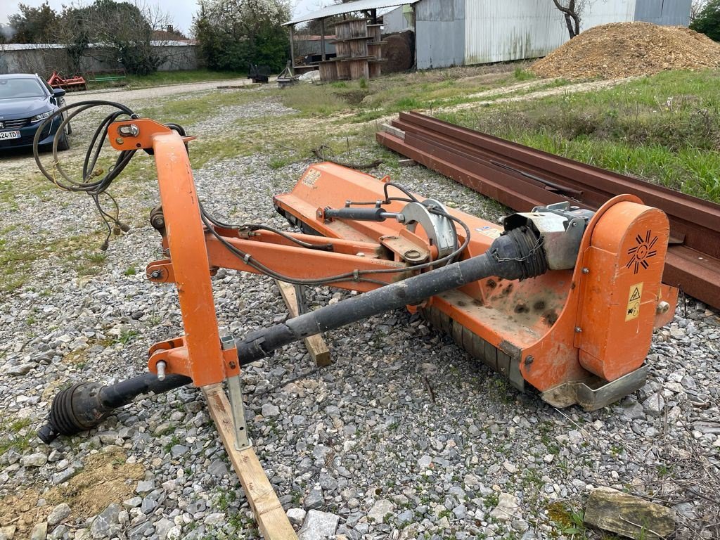 Böschungsmähgerät des Typs Sonstige CORTESE CDA 250, Gebrauchtmaschine in Aubiet (Bild 3)