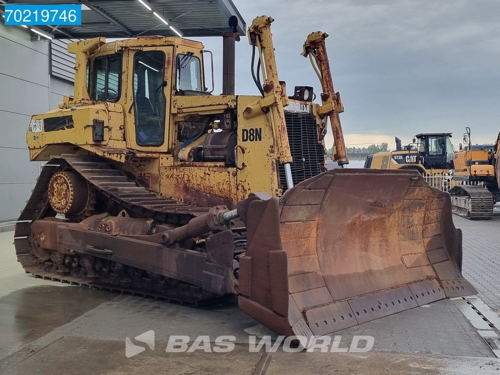 Bulldozer a típus Caterpillar D8 N, Gebrauchtmaschine ekkor: Veghel (Kép 7)