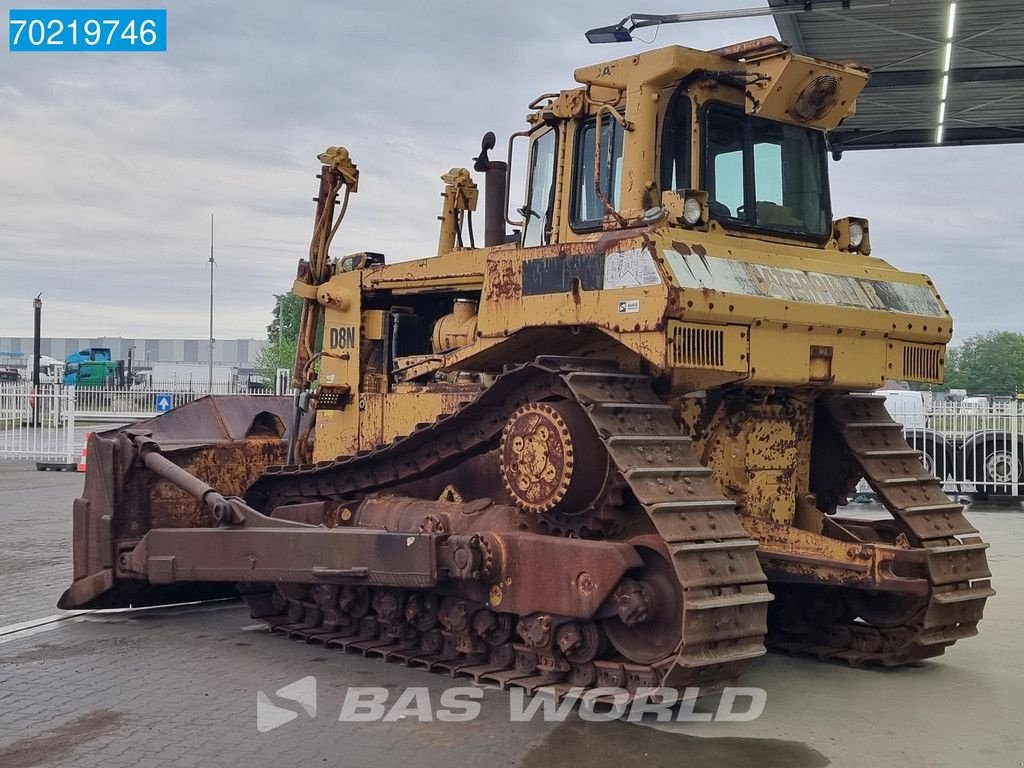 Bulldozer del tipo Caterpillar D8 N, Gebrauchtmaschine In Veghel (Immagine 2)