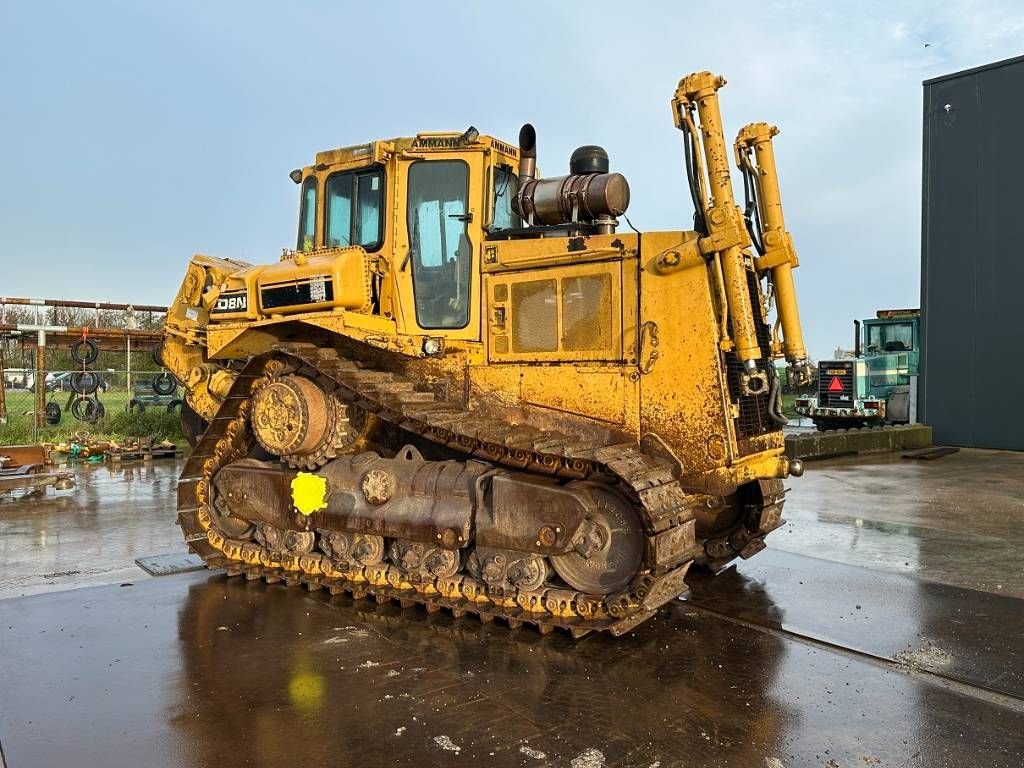 Bulldozer des Typs Sonstige Cat D 8 N, Gebrauchtmaschine in Wommels (Bild 3)