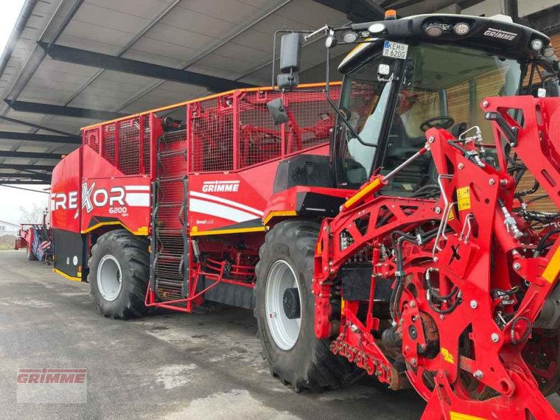 Bunkerroder от тип Grimme REXOR 6200 PL Rüttelschar, Gebrauchtmaschine в Damme (Снимка 1)