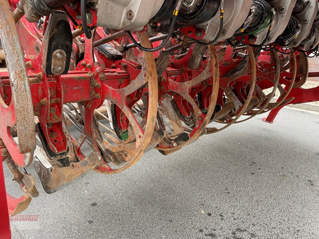 Bunkerroder du type Grimme REXOR 630 Rüttelschar FM, Gebrauchtmaschine en Damme (Photo 9)