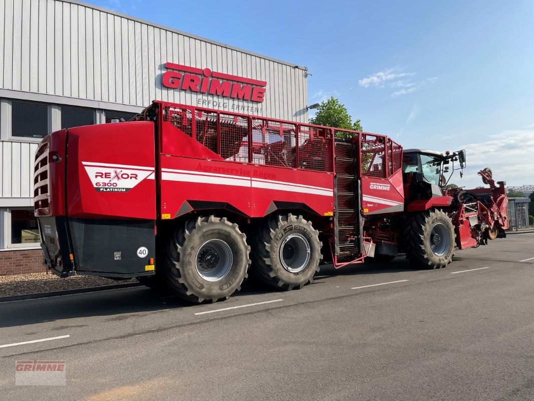 Bunkerroder des Typs Grimme REXOR 630, Gebrauchtmaschine in Damme (Bild 5)