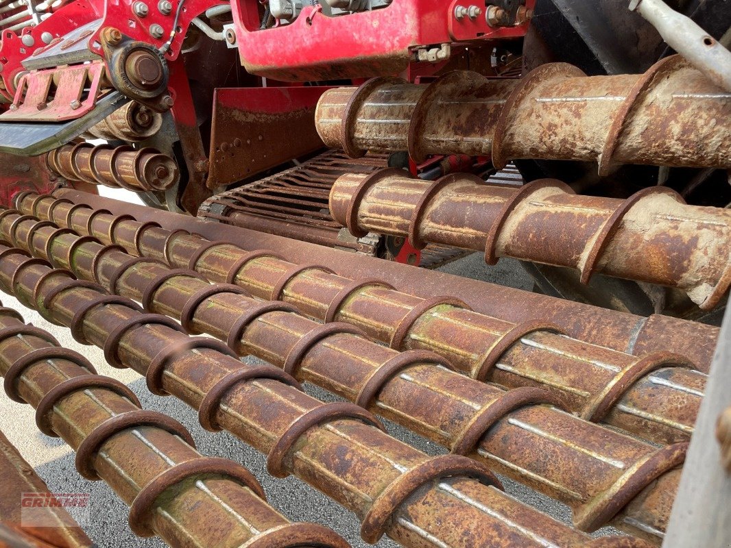 Bunkerroder typu Grimme REXOR 630, Gebrauchtmaschine v Damme (Obrázok 18)