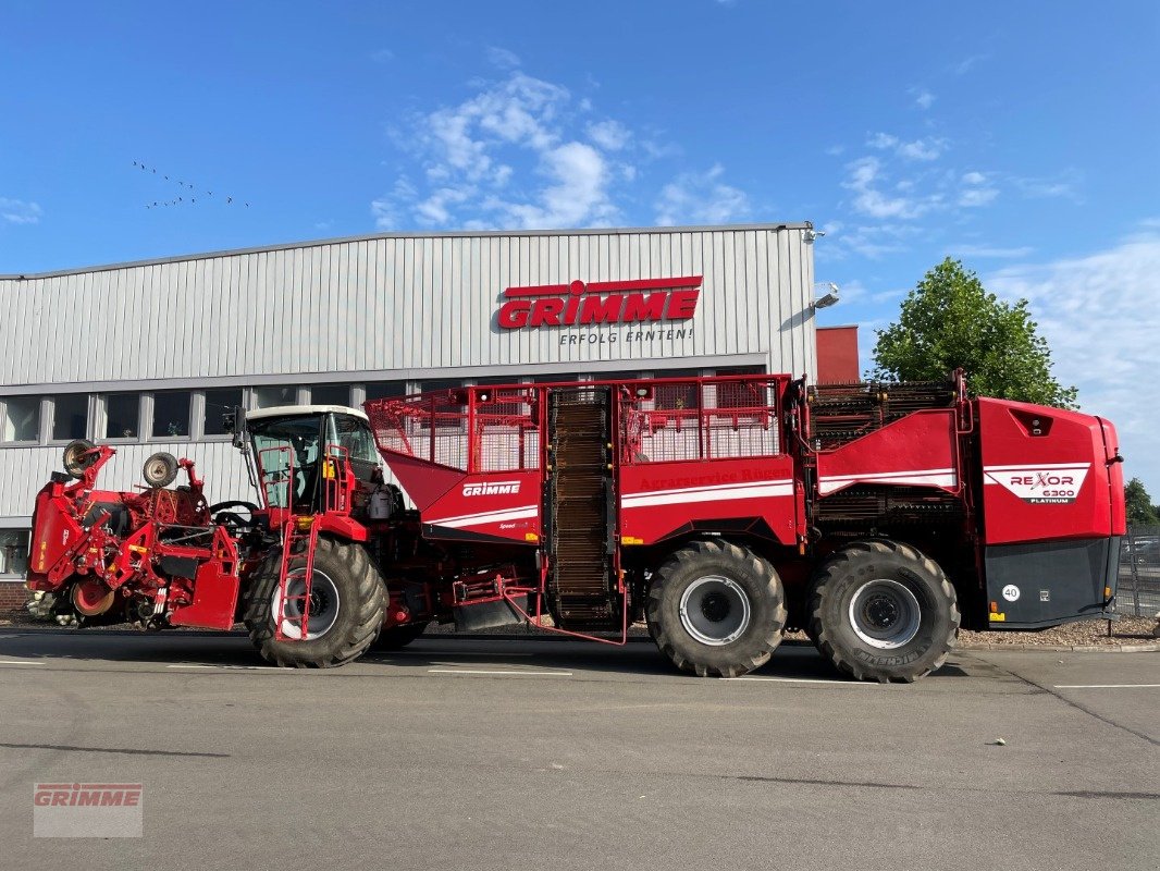 Bunkerroder typu Grimme REXOR 630, Gebrauchtmaschine w Damme (Zdjęcie 1)