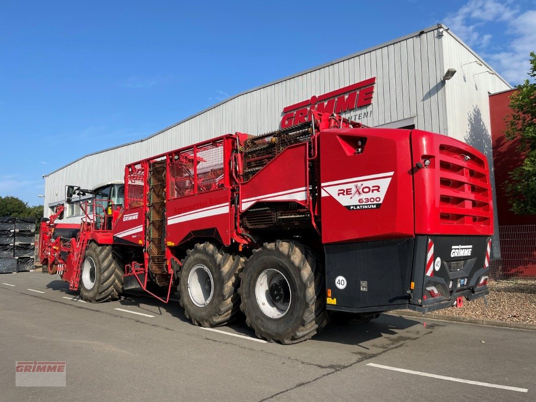 Bunkerroder του τύπου Grimme REXOR 630, Gebrauchtmaschine σε Damme (Φωτογραφία 3)