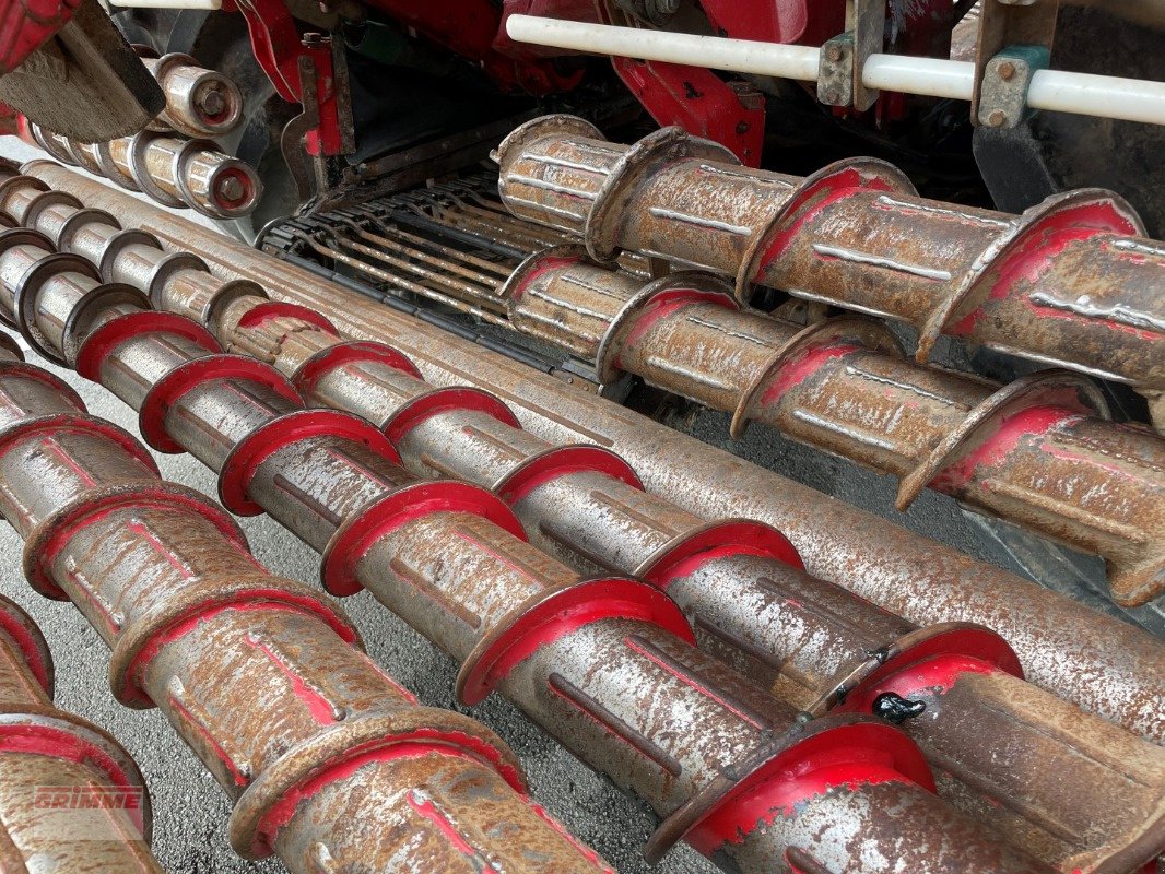 Bunkerroder Türe ait Holmer T4-40, Gebrauchtmaschine içinde Damme (resim 18)