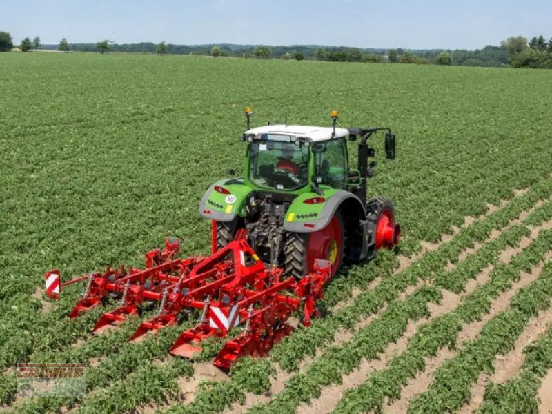 Dammformer of the type Grimme GH 4 OKO, Neumaschine in Feuchy (Picture 1)